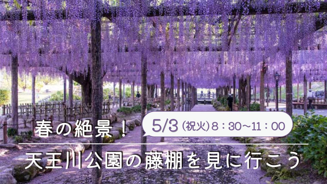 名古屋でランニングイベント定期的に開催しているランアップの 春の絶景 天王川公園の藤棚を見に行こう 名古屋でランニングならrunup
