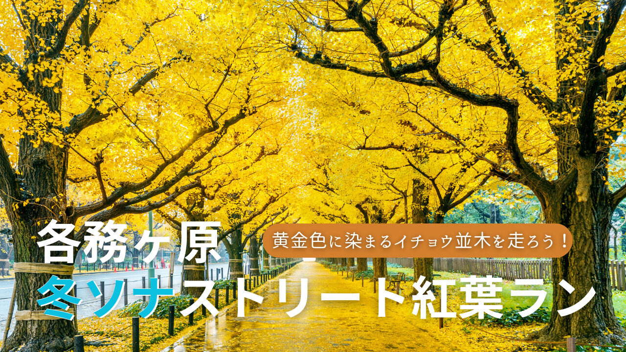 RAIL RUNNING In朝熊山